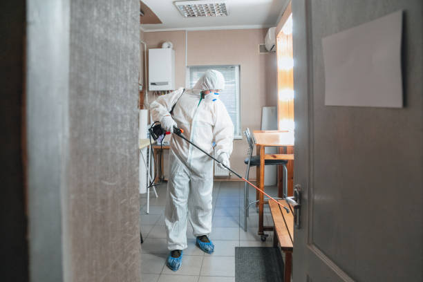 Best Forensic Mold Investigation  in Utica, MI