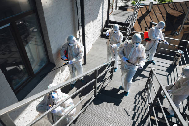 Best Water Damage & Mold Remediation  in Utica, MI