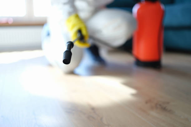 Best Asbestos and Lead Testing During Mold Inspection  in Utica, MI