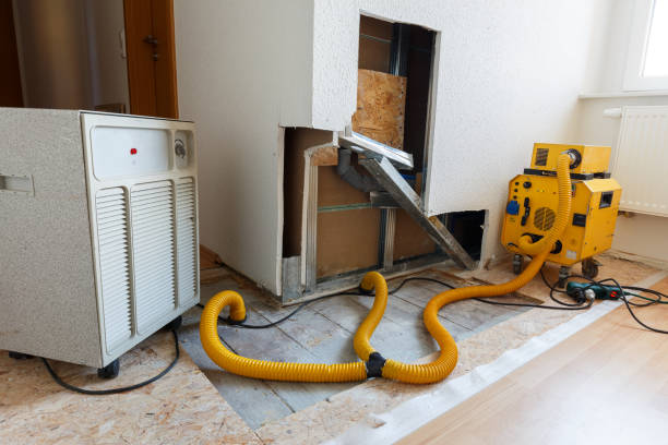 Best Mold Odor Removal Services  in Utica, MI