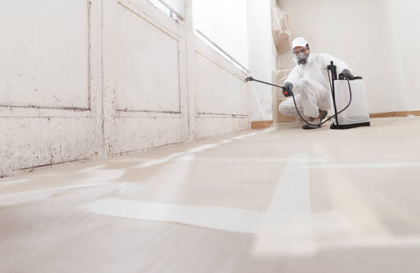 Professional Mold Removal in Utica, MI